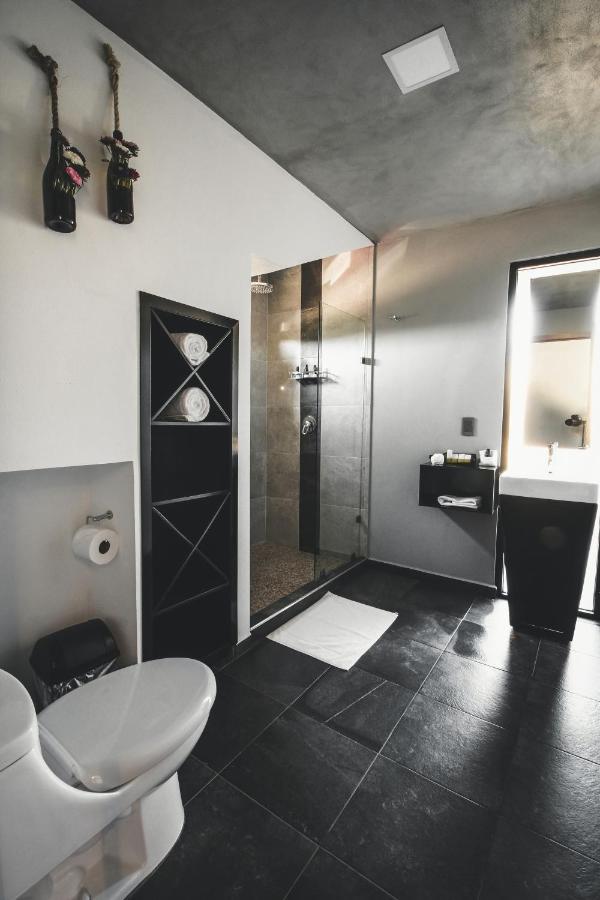 Origen75 Loft - Villas - Skypool - Vinedo, Valle De Guadalupe Exterior photo