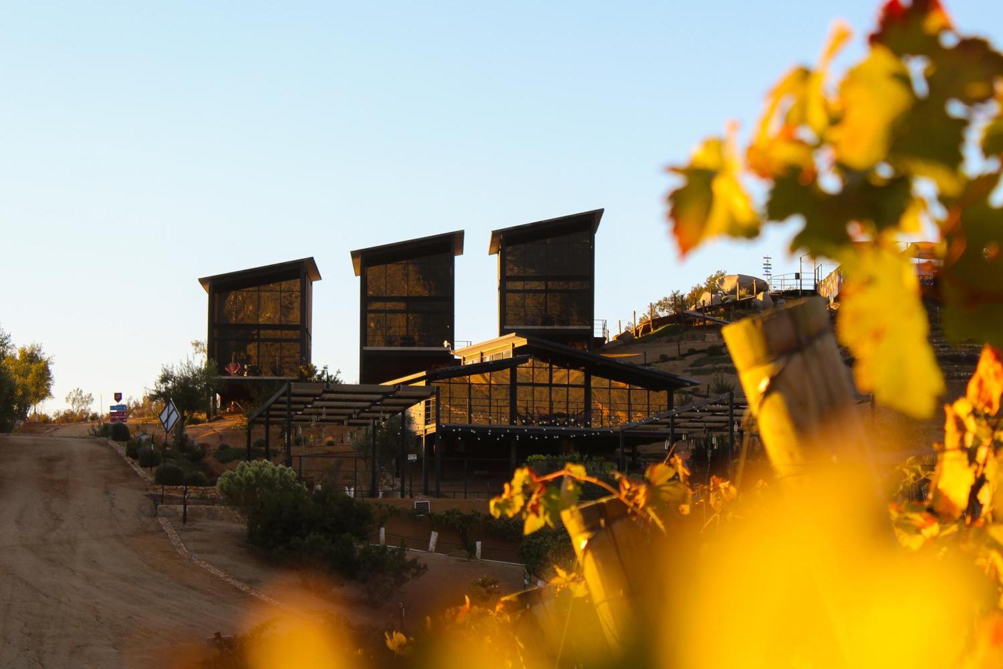 Origen75 Loft - Villas - Skypool - Vinedo, Valle De Guadalupe Exterior photo